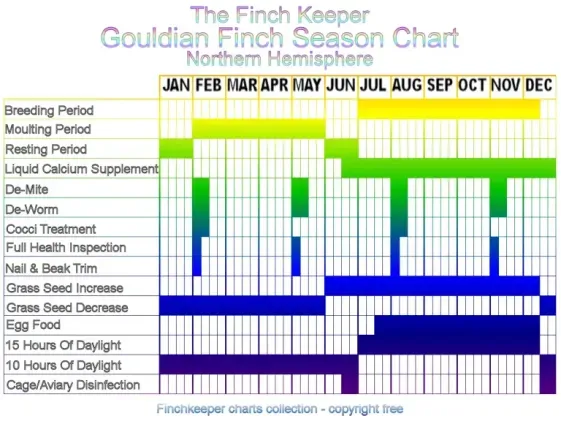 Gouldian Finch season chart for the northern hemisphere
