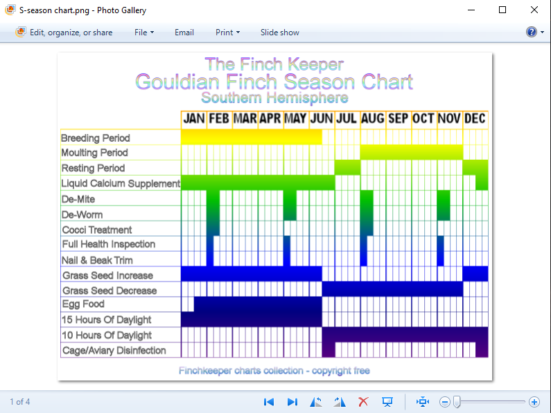 A Gouldian Finch season chart showing their needs at certain times of the year