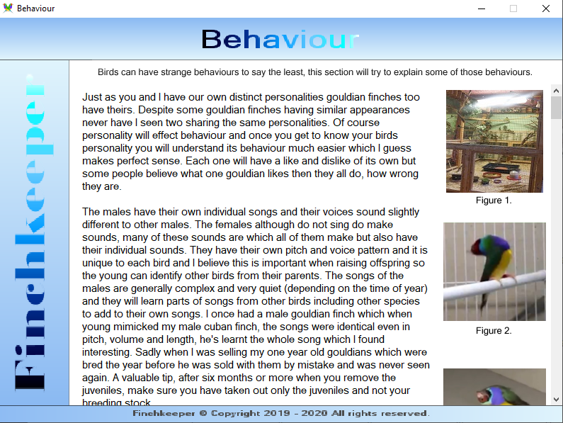 Understanding the behaviour of your Gouldian Finches to help get to know your birds better
